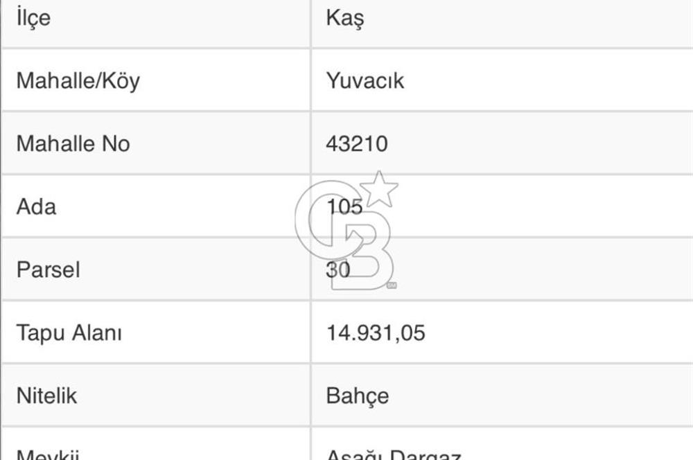 CB GİZ'DEN KAŞ YUVACIK'TA SATILIK TARLA