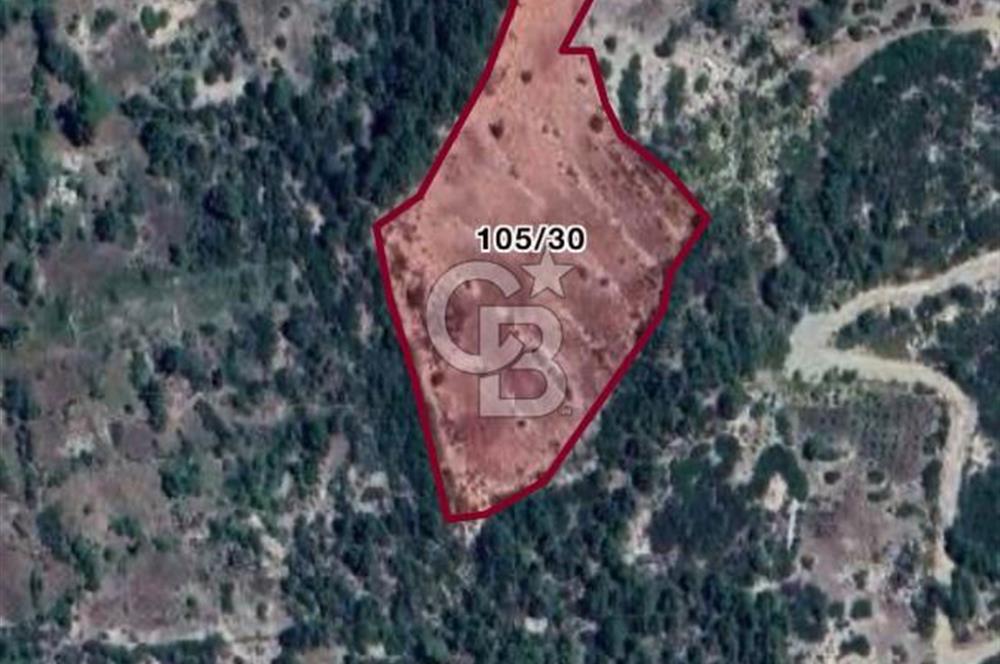 CB GİZ'DEN KAŞ YUVACIK'TA SATILIK TARLA