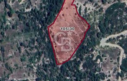 CB GİZ'DEN KAŞ YUVACIK'TA SATILIK TARLA