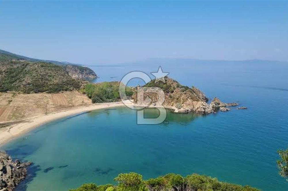 CB LEADER'DEN  ERDEK ORMANLI’DA YATIRIMLIK DENİZ MANZARALI TARLA