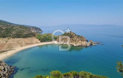 CB LEADER'DEN  ERDEK ORMANLI’DA YATIRIMLIK DENİZ MANZARALI TARLA