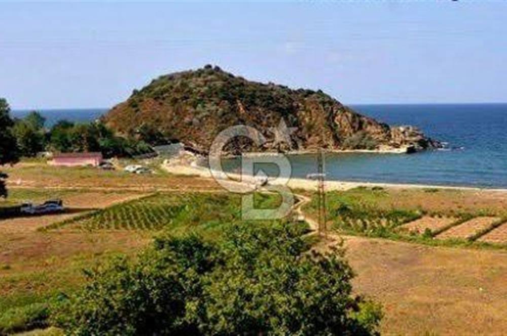 CB LEADER'DEN  ERDEK ORMANLI’DA YATIRIMLIK DENİZ MANZARALI TARLA