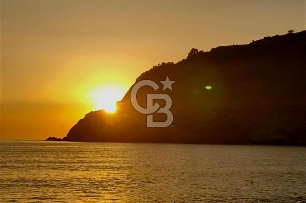 CB LEADER'DEN  ERDEK ORMANLI’DA YATIRIMLIK DENİZ MANZARALI TARLA