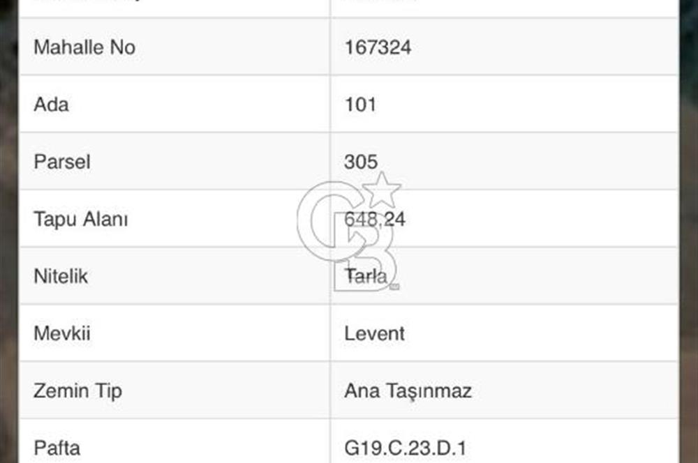 CB LEADER'DEN  ERDEK ORMANLI’DA YATIRIMLIK DENİZ MANZARALI TARLA