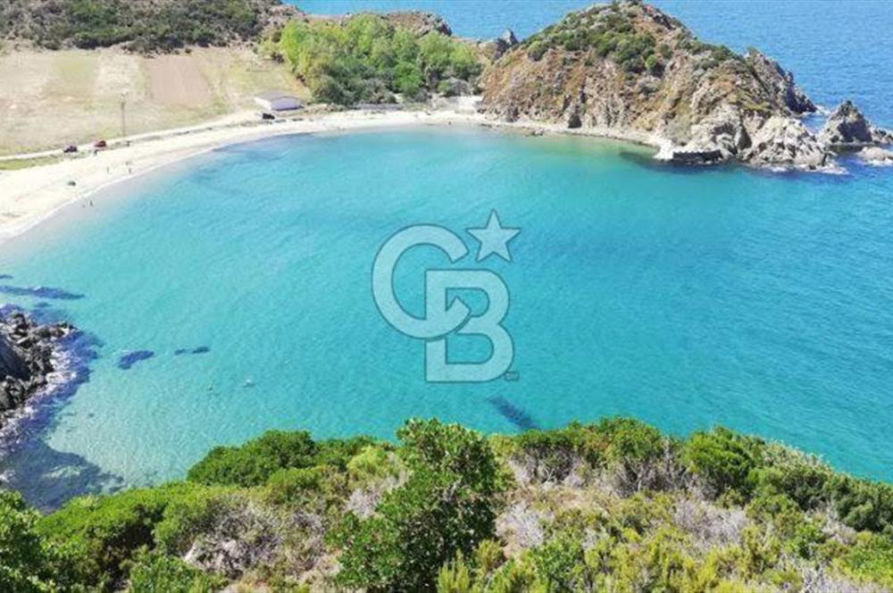 CB LEADER'DEN  ERDEK ORMANLI’DA YATIRIMLIK DENİZ MANZARALI TARLA