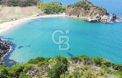 CB LEADER'DEN  ERDEK ORMANLI’DA YATIRIMLIK DENİZ MANZARALI TARLA