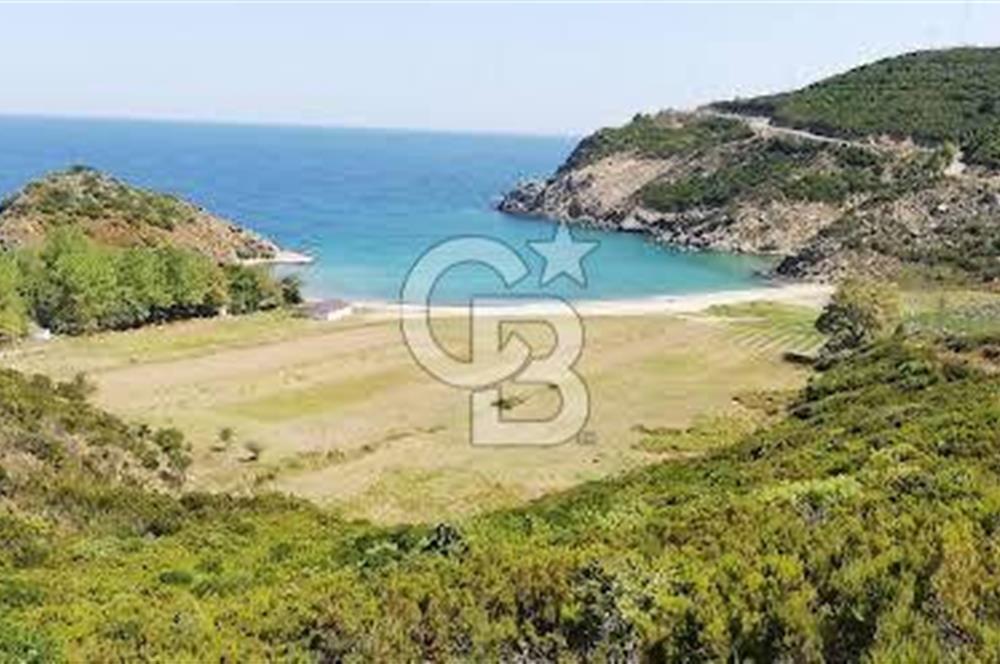 CB LEADER'DEN  ERDEK ORMANLI’DA YATIRIMLIK DENİZ MANZARALI TARLA