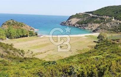 CB LEADER'DEN  ERDEK ORMANLI’DA YATIRIMLIK DENİZ MANZARALI TARLA