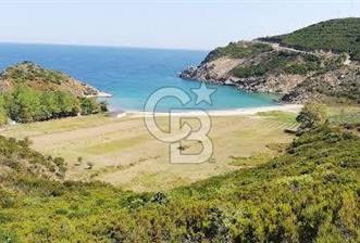 CB LEADER'DEN  ERDEK ORMANLI’DA YATIRIMLIK DENİZ MANZARALI TARLA - 1 - 341783