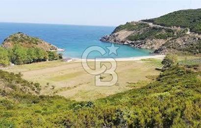 CB LEADER'DEN  ERDEK ORMANLI’DA YATIRIMLIK DENİZ MANZARALI TARLA