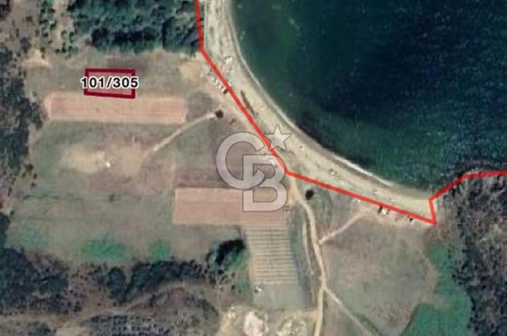 CB LEADER'DEN  ERDEK ORMANLI’DA YATIRIMLIK DENİZ MANZARALI TARLA