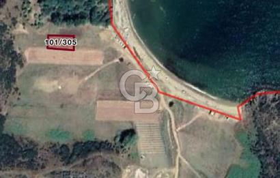 CB LEADER'DEN  ERDEK ORMANLI’DA YATIRIMLIK DENİZ MANZARALI TARLA