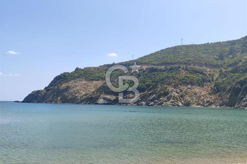 CB LEADER'DEN  ERDEK ORMANLI’DA YATIRIMLIK DENİZ MANZARALI TARLA