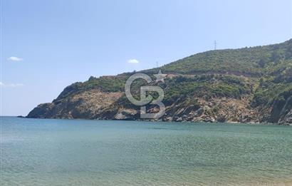 CB LEADER'DEN  ERDEK ORMANLI’DA YATIRIMLIK DENİZ MANZARALI TARLA