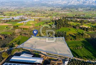 SEYDİKEMERDE TARIM FAALİYETİ İÇİN YATIRIMLIK TARLA - 10 - 341428