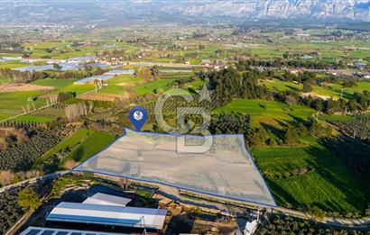 SEYDİKEMERDE TARIM FAALİYETİ İÇİN YATIRIMLIK TARLA