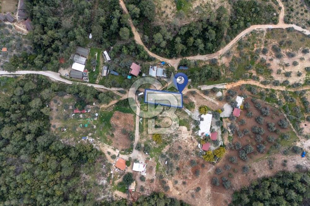 Menteşe Akbük'te 371m² Satılık Tarla