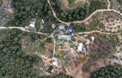 Menteşe Akbük'te 371m² Satılık Tarla