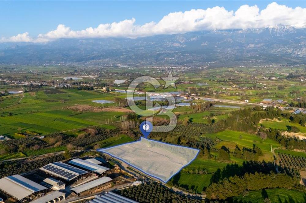 SEYDİKEMERDE TARIM FAALİYETİ İÇİN YATIRIMLIK TARLA