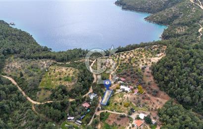 Menteşe Akbük'te 371m² Satılık Tarla