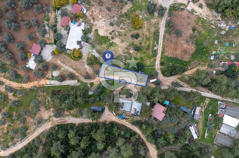 Menteşe Akbük'te 371m² Satılık Tarla