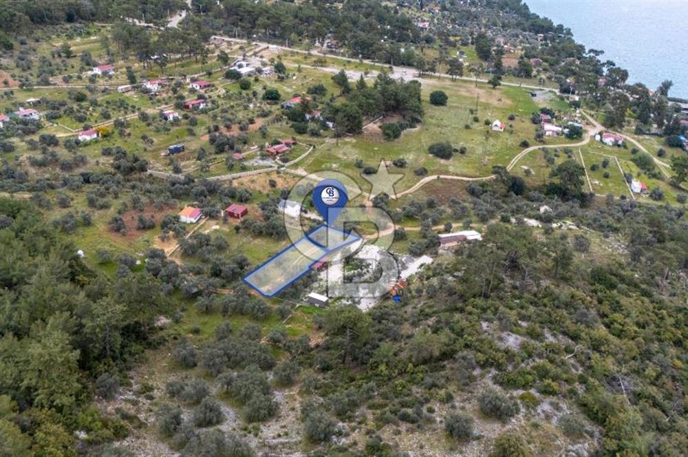 Menteşe Akbük'te Satılık 547m² Tarla