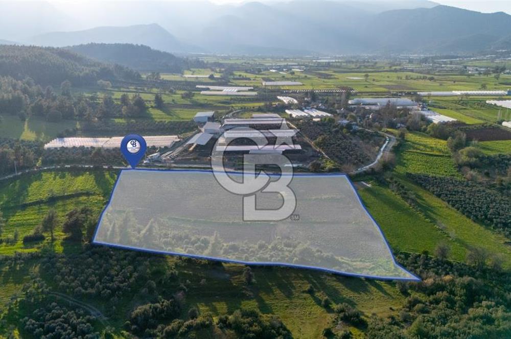 SEYDİKEMERDE TARIM FAALİYETİ İÇİN YATIRIMLIK TARLA