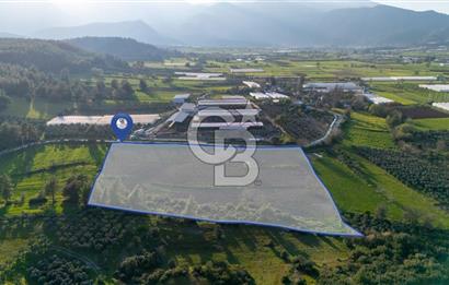 SEYDİKEMERDE TARIM FAALİYETİ İÇİN YATIRIMLIK TARLA