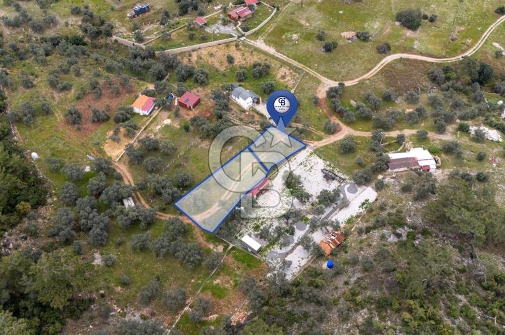 Menteşe Akbük'te Satılık 547m² Tarla