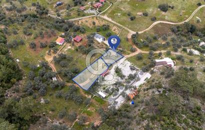 Menteşe Akbük'te Satılık 547m² Tarla