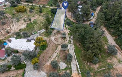 Menteşe Akbük'te 371m² Satılık Tarla