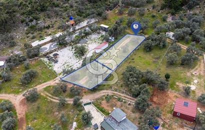 Menteşe Akbük'te Satılık 547m² Tarla