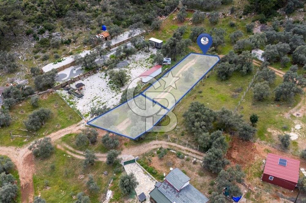 Menteşe Akbük'te  319m² Satılık Tarla