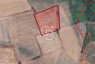 ÇANAKKALE BİGA ÖRTÜLÜCE SANAYİ,LİMAN PROJESİNE YAKIN YATIRIMLIK - 4 - 341419