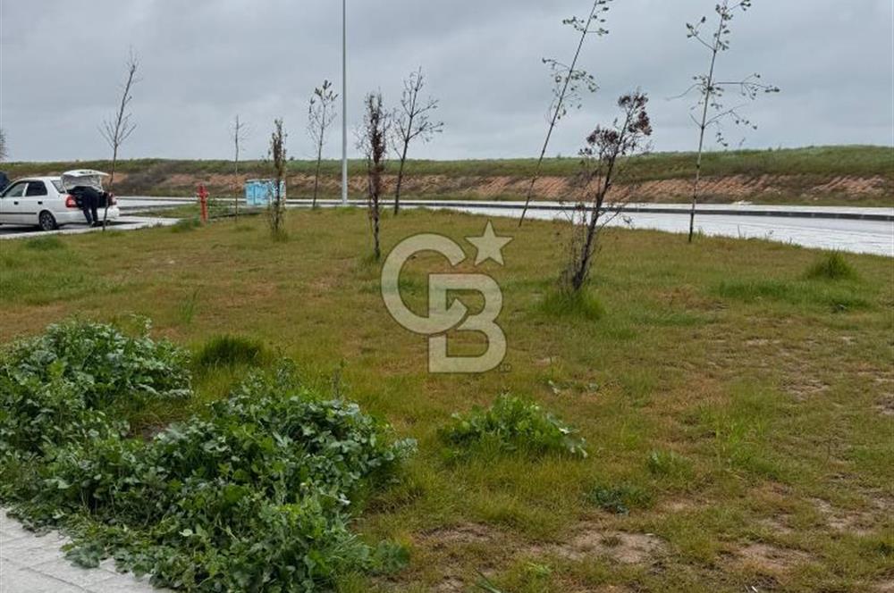 Tekirdağ Çorlu Zafer Mahallesi TOKİ’de 2+1  Kiralık Daire