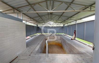 CB İZMİR DİKİLİ NEBİLER MAHALLESİ'NDE SATILIK ZEYTİNLİK 