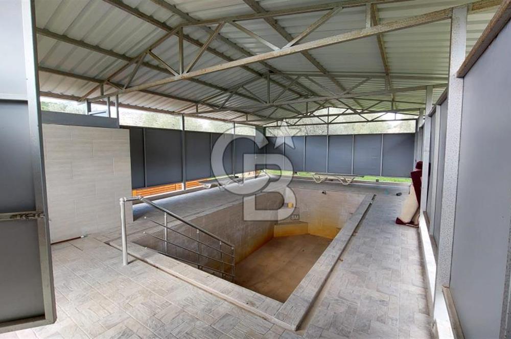 CB İZMİR DİKİLİ NEBİLER MAHALLESİ'NDE SATILIK ZEYTİNLİK 