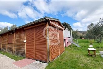 CB İZMİR DİKİLİ NEBİLER MAHALLESİ'NDE SATILIK ZEYTİNLİK  - 4 - 341446