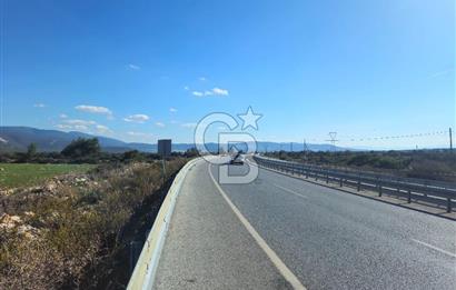 SÖKE SATILIK TARLA 1.750.000 TL BURUNKÖY MAH