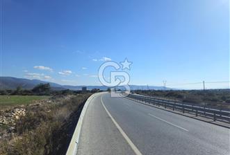 SÖKE SATILIK TARLA 1.750.000 TL BURUNKÖY MAH - 1 - 341499