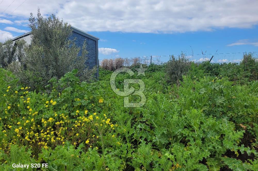izmir kaklıç'ta kaçırılmayacak yatırımlık fırsat arazi