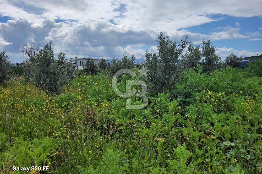 izmir kaklıç'ta kaçırılmayacak yatırımlık fırsat arazi