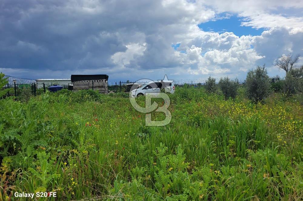 izmir kaklıç'ta kaçırılmayacak yatırımlık fırsat arazi