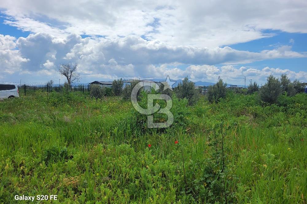 izmir kaklıç'ta kaçırılmayacak yatırımlık fırsat arazi