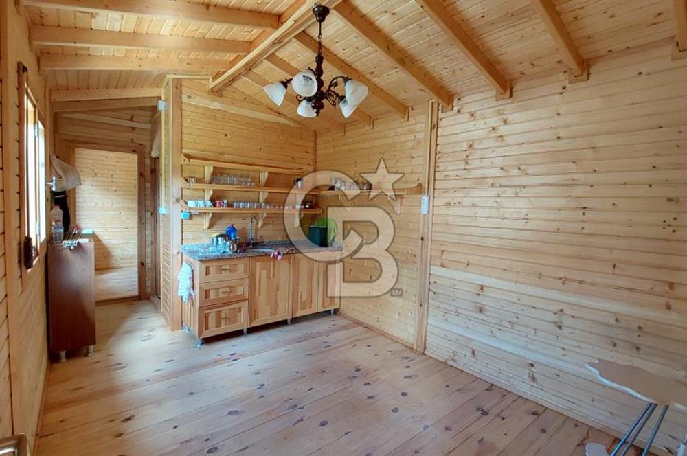 CB İZMİR DİKİLİ NEBİLER MAHALLESİ'NDE SATILIK ZEYTİNLİK 