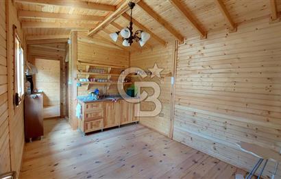 CB İZMİR DİKİLİ NEBİLER MAHALLESİ'NDE SATILIK ZEYTİNLİK 