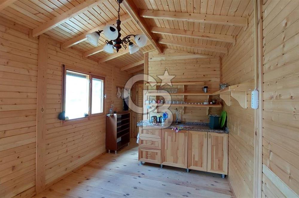 CB İZMİR DİKİLİ NEBİLER MAHALLESİ'NDE SATILIK ZEYTİNLİK 