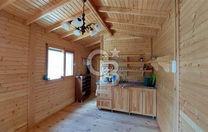 CB İZMİR DİKİLİ NEBİLER MAHALLESİ'NDE SATILIK ZEYTİNLİK 