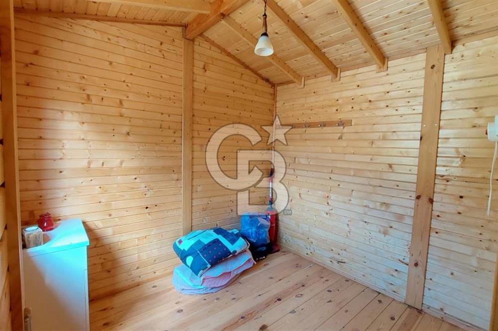 CB İZMİR DİKİLİ NEBİLER MAHALLESİ'NDE SATILIK ZEYTİNLİK 