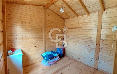 CB İZMİR DİKİLİ NEBİLER MAHALLESİ'NDE SATILIK ZEYTİNLİK 